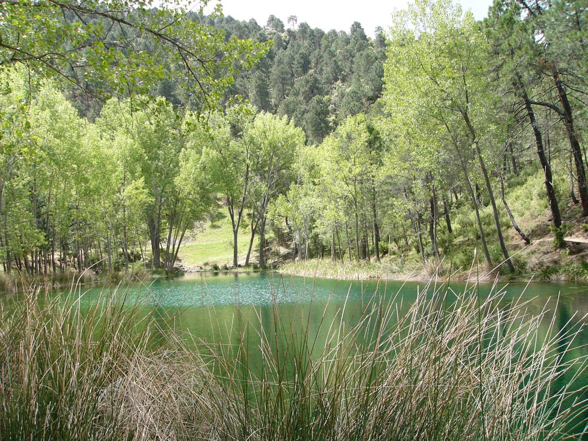 Villa El Enebro à Villaverde De Guadalimar Extérieur photo